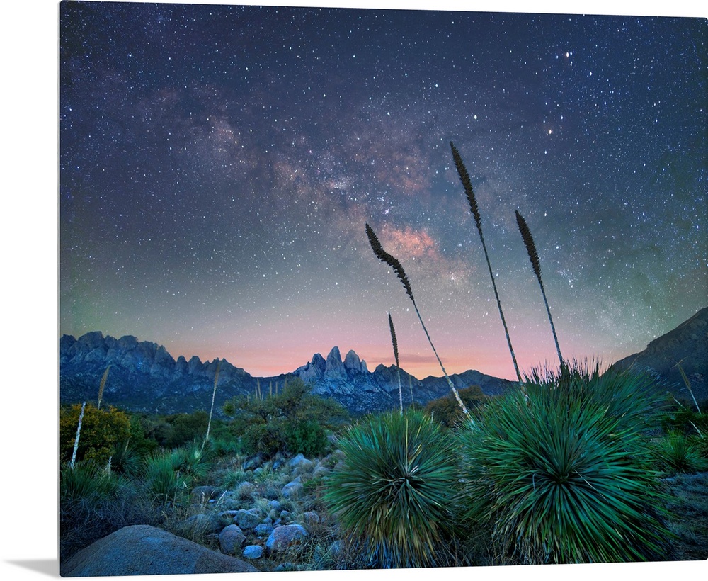 New Mexico, USA.