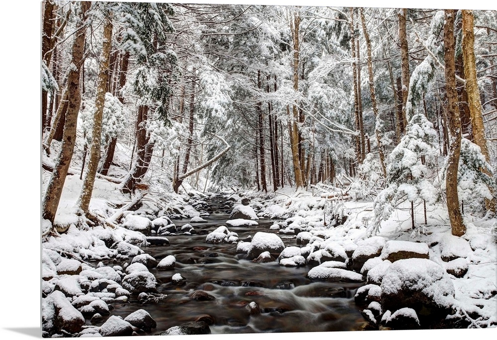 Flowing creek surrounded by several round stones in a forest of thin evergreen trees, covered in fresh snow.