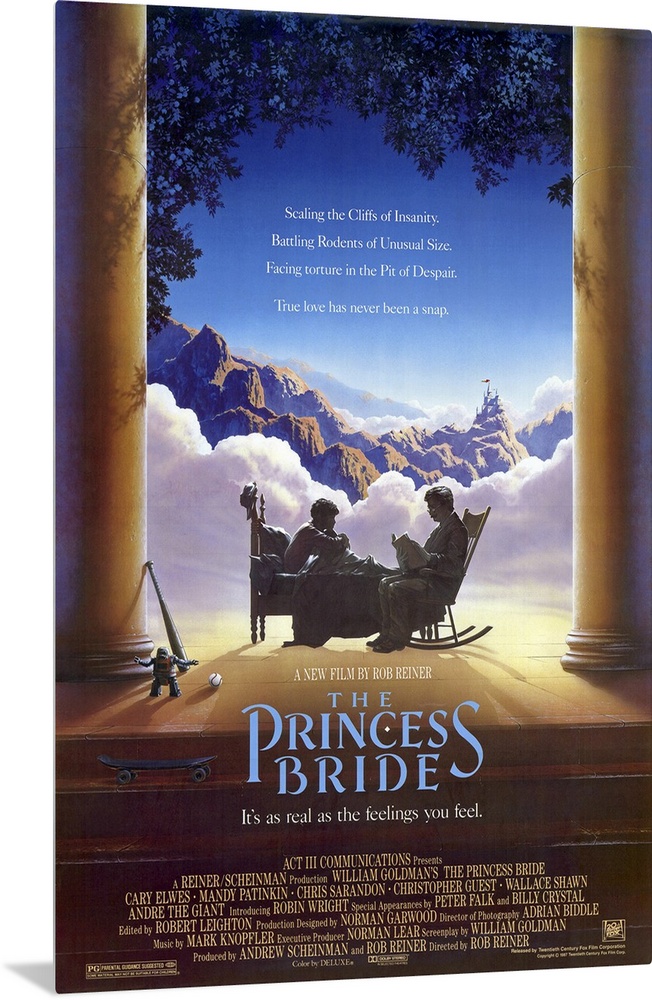 A modern update of the basic fairy tale crammed with all the cliches, this adventurously irreverent love story centers aro...