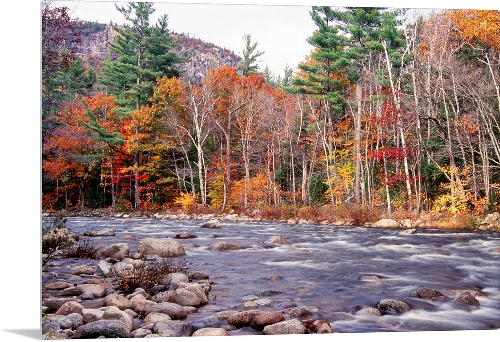 This landscape photograph shows water running rapidly through a rock filled river bed lined with autumn trees in the mount...