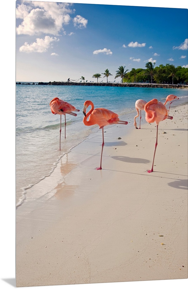This large wall art is a vertical photograph of five flamingos relaxing on a sandy, tropical beach.