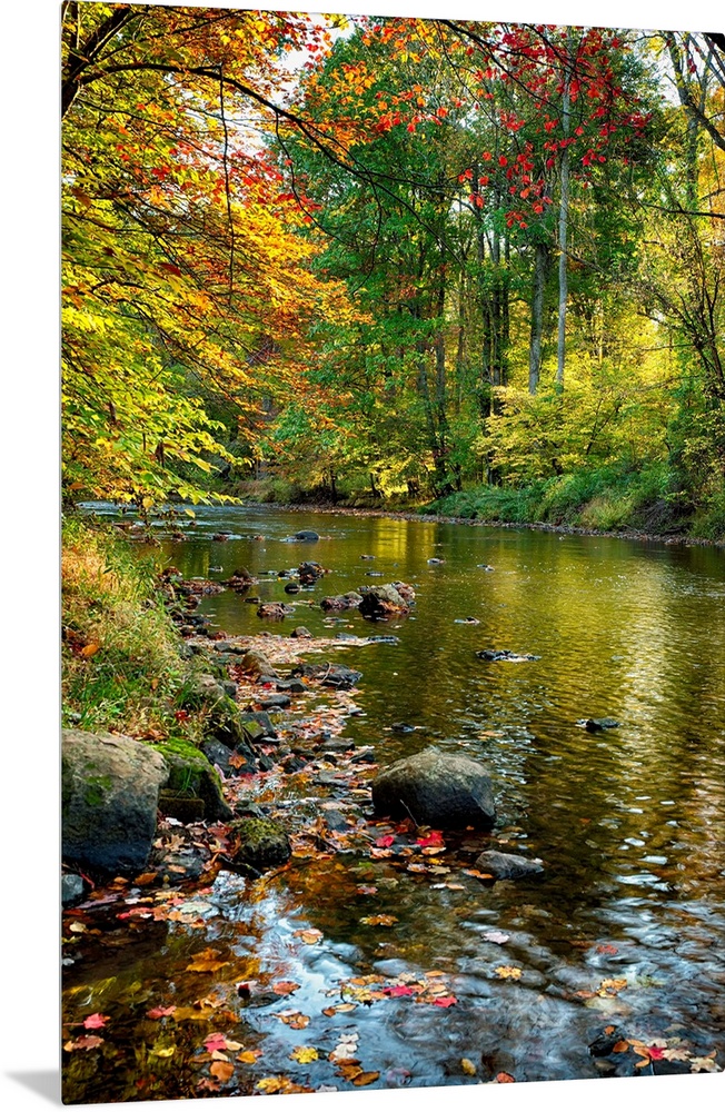 Fine art photo of a river in an autumn forest in New Jersey.