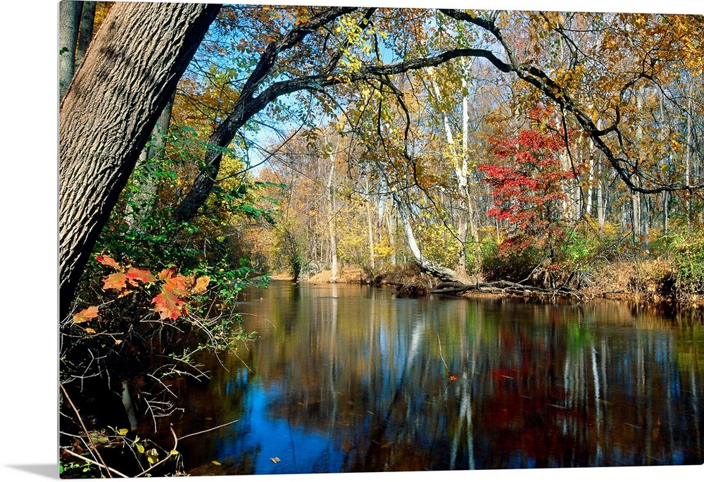This landscape photograph is the Lamington River flowing through a forest in New Jersey in late autumn or early winter.