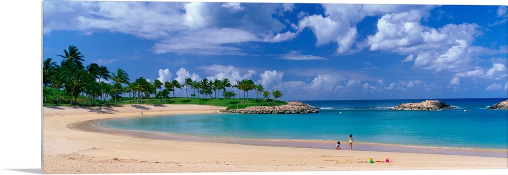 A panoramic photograph of a tropical cover on an island lined with palm trees and clear water.