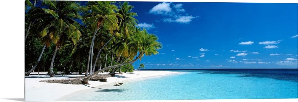 Panoramic photograph of a vibrant beach on a sunny day in Maldives.  The tall palm trees run across the entire edge of the...