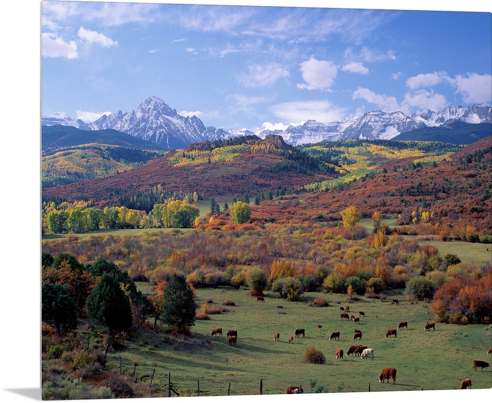 Amazing landscape photograph of farmland, forest, and snowcapped mountains in the Rockies.