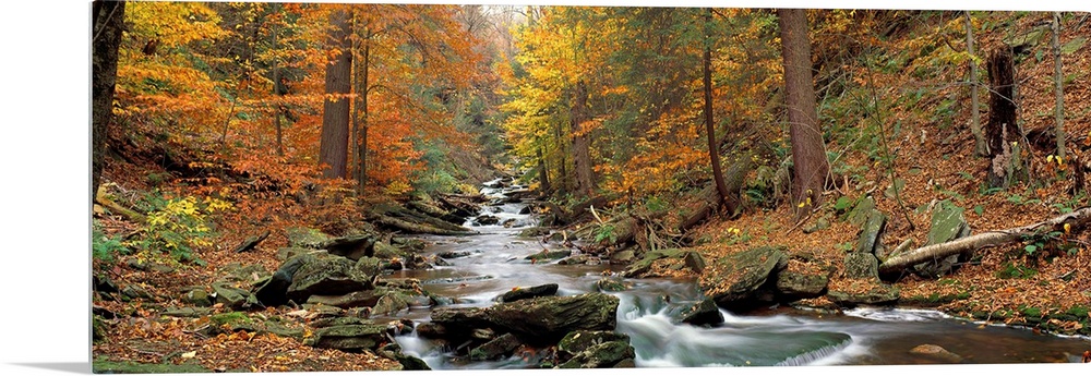 This panoramic wall hanging is a photograph that shows the view up a boulder filled stream in an autumn forest.