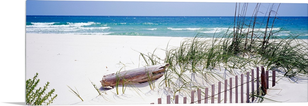 Oversized landscape photograph of a fence running through grasses on the beach, in front of the rippling waters of the Gul...