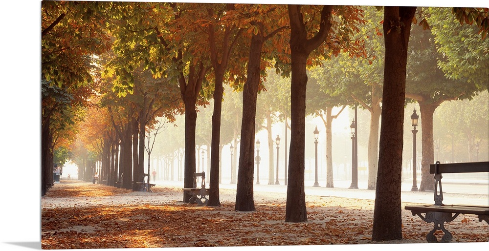 Wide angle view of a tree lined avenue through a park at autumn in Paris. Benches sit between the trunks of mature trees.