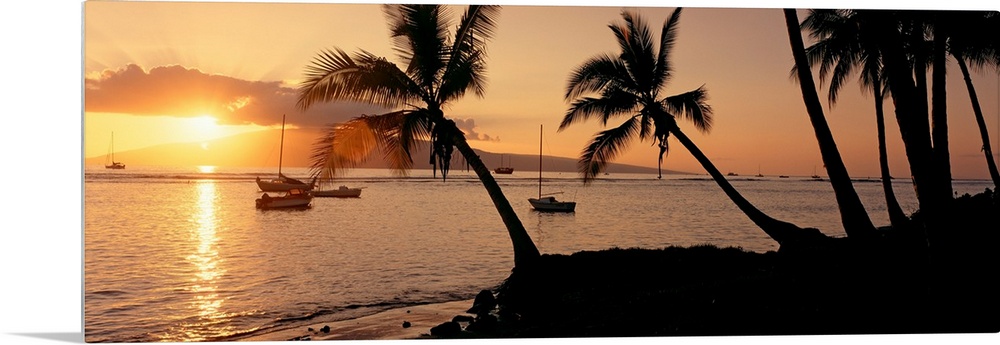 Panoramic photograph of a colorful sunset in the town of Lahaina on the island of Maui in Hawaii.  The bright sun shines o...