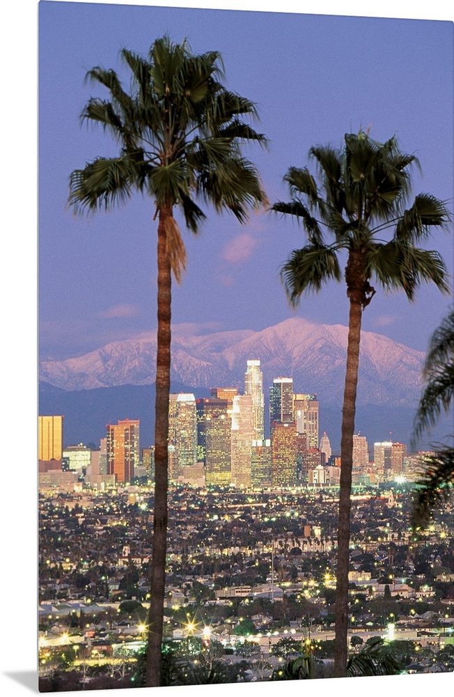 A vertical photograph of skyscrapers in the Los Angelesos skyline framed by two palm trees and mountains in the background.