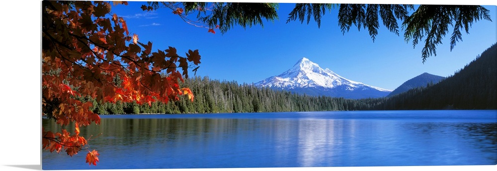 In the wilderness a mountain peak reflects in a lake surrounded by trees on this panoramic wall art.