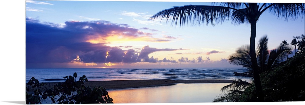 Clouds filled the horizon as the sun sets behind them and in the foreground silhouetted tropical plants crowd the shore in...