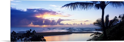 Palm tree on the beach, Wailua Bay, Kauai, Hawaii