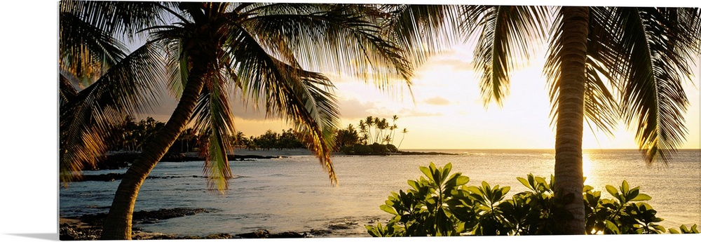 Panoramic wall art photo for the office or home of the Hawaiian coast; palm trees frame the sun setting over the ocean wit...