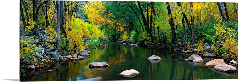 A calm stream flows through a forest in this panoramic landscape photograph.