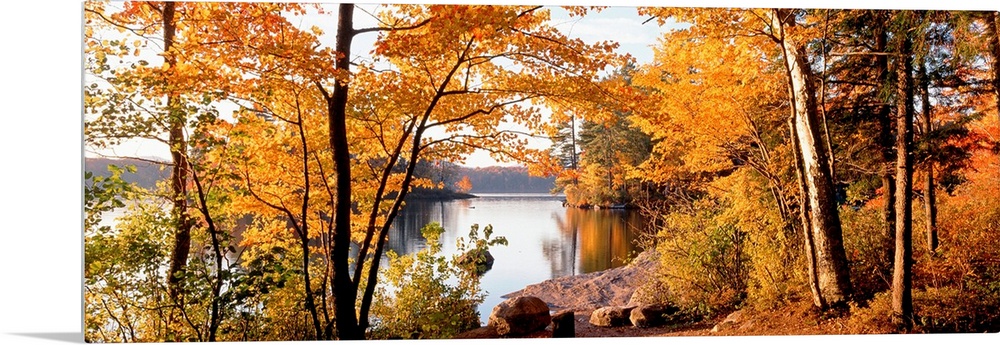 Fall foliage frames a panoramic landscape of a lake with calm smooth water.