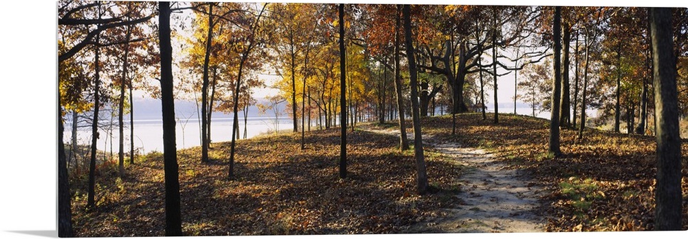 Panoramic photograph of dirt trail winding through an autumn forest with river in the distance.