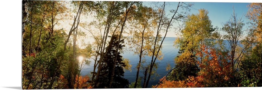 This vertical photograph shows leaves starting to show their autumn colors on trees growing around a body of water on a pa...