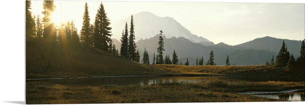 Horizontal, large photograph of the sun setting over a tree covered hillside in Mount Rainier National Park in Washington,...