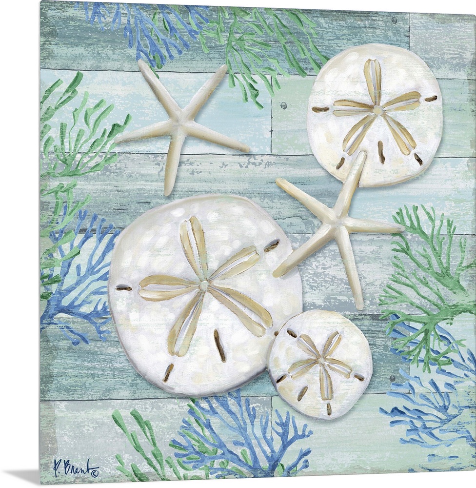 Square sand dollar, starfish and coral decor in light blue, green, and white.