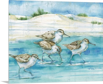 Sandy Sandpipers I