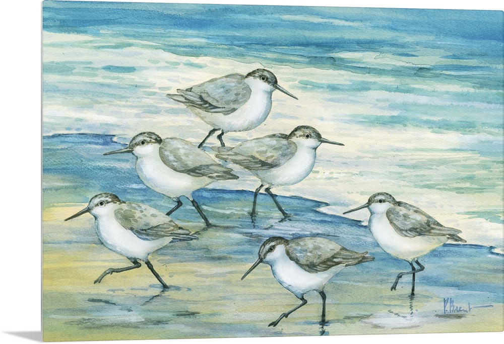 Contemporary artwork of a flock of sandpiper birds on the beach.