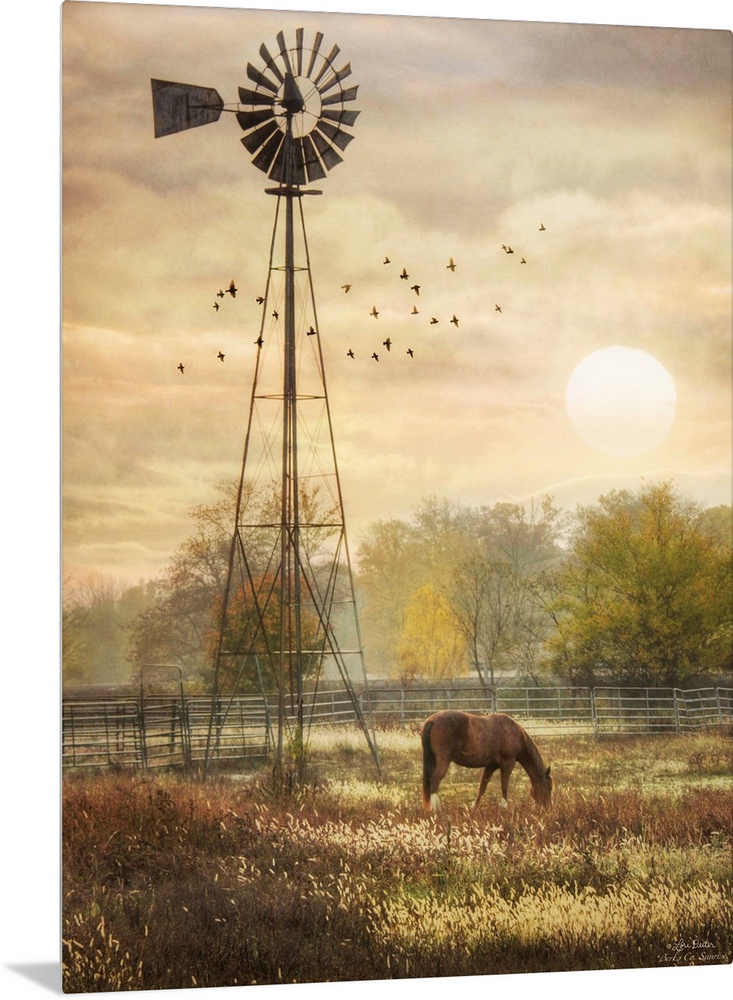 Horse grazing in a field beside a windmill at sunrise.