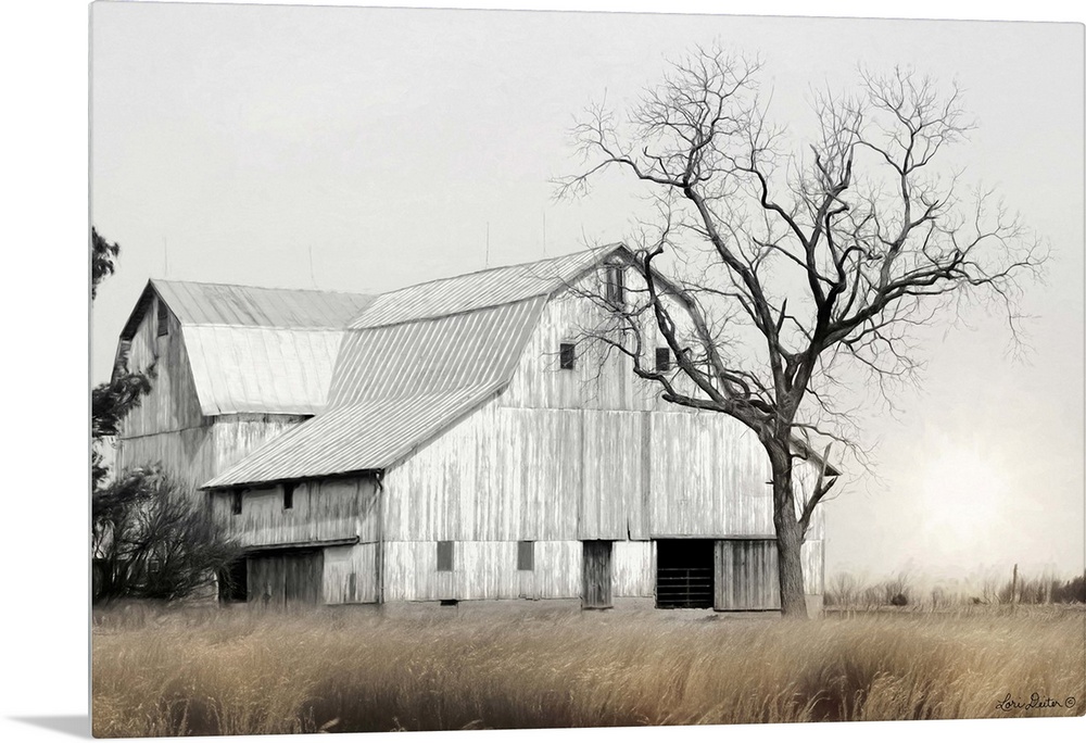 Ohio Fields I