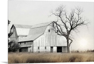 Ohio Fields I