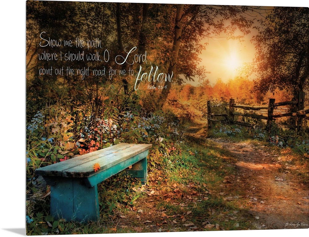 A small bench in the woods near a fence at sunset, with a bible verse.