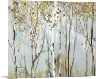 Birch in the fog II