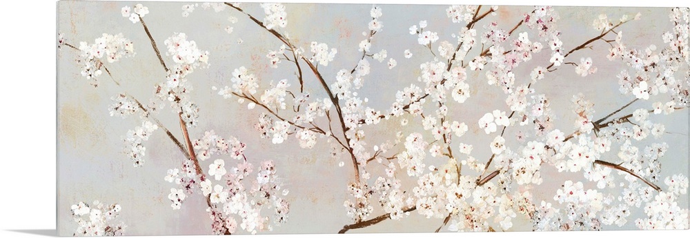 A long panoramic painting of a large branch of white cherry blossoms.