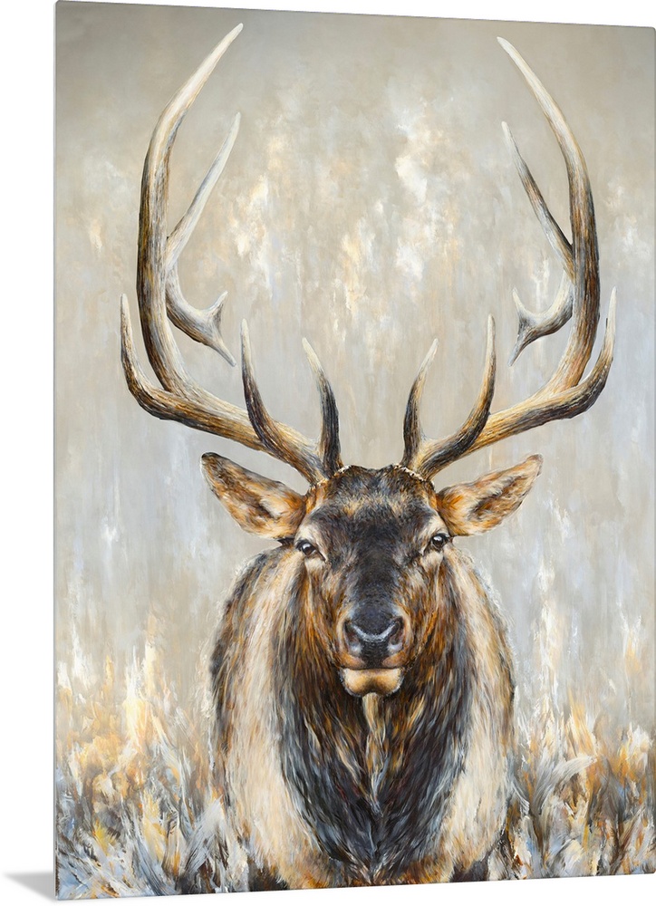 Imperial Bull Elk
