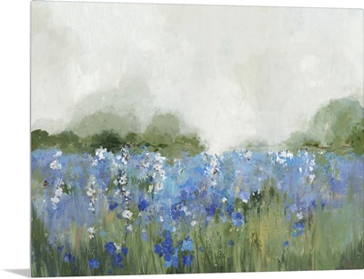 Meadow Bluebells Field