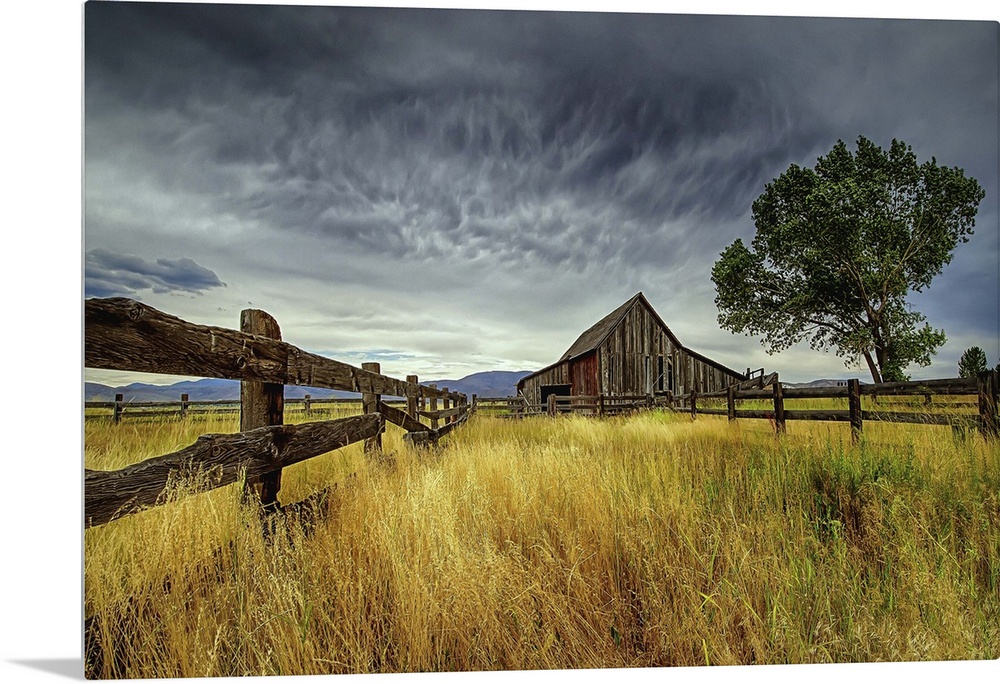 The Old Barn