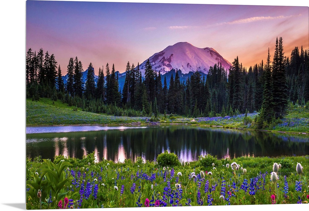 Flowers along the edge of a lake with Mount Rainier in the distance, at sunset.