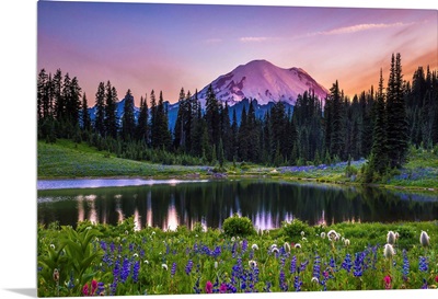 Wildflowers by Tipsoo Lake