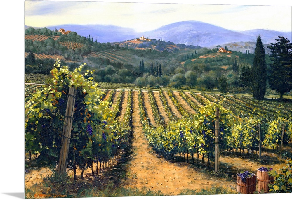 Tuscan Vines