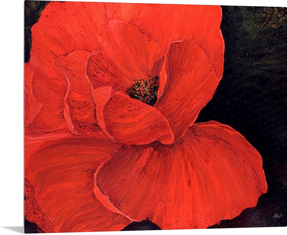 A decorative accent for the home or office this painting is a poppy with its petals spread wide on a dark backdrop.