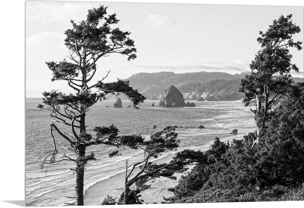 Black and white landscape photograph of Cannon Beach through the trees with Haystack Rock in the distance, Oregon Coast