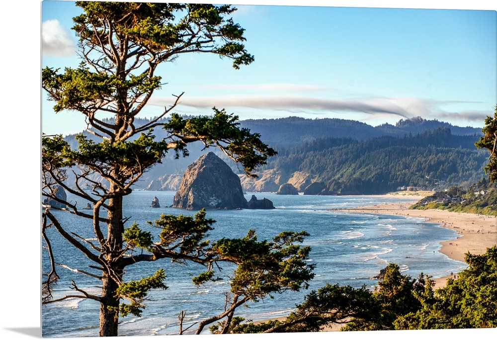 Landscape photograph of Cannon Beach through trees with Haystack Rock in the distance.