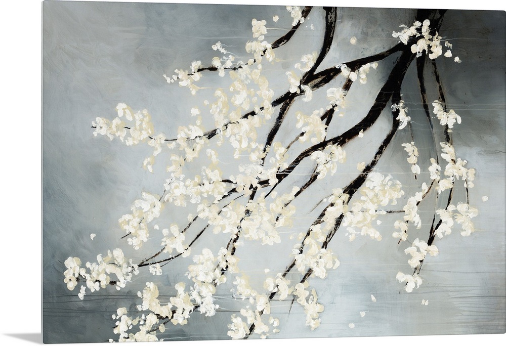 Contemporary drawing of blooming white flowers on the dark branches of a cherry tree hanging down from the top.