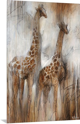 Giraffe Study