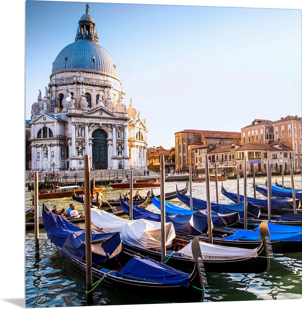 Square photograph of gondolas lined up in a row in front of Santa Maria della Salute, Venice, Italy, Europe