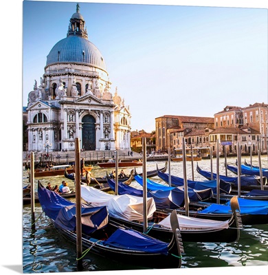 Gondolas in Front of Santa Maria della Salute, Venice, Italy, Europe - Square