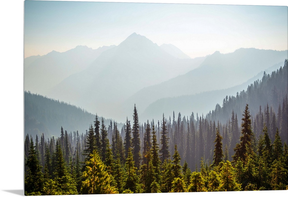 View of Hurricane Ridge with Mount Angeles in the background, Olympic National Park, Washington.