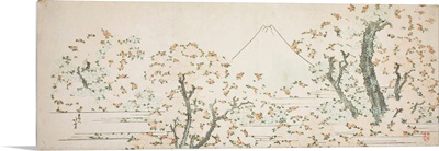 Mount Fuji With Cherry Trees In Bloom