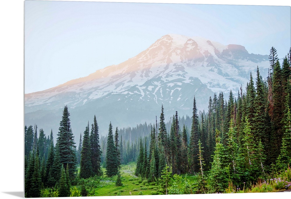 View of Mount Rainier's peak in Mount Rainier National Park, Washington.