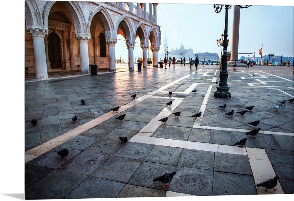 Photograph of the pigeons at St. Mark's square in Venice, Italy.